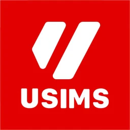 Icône de eSIM Globale Voyage | USIMS